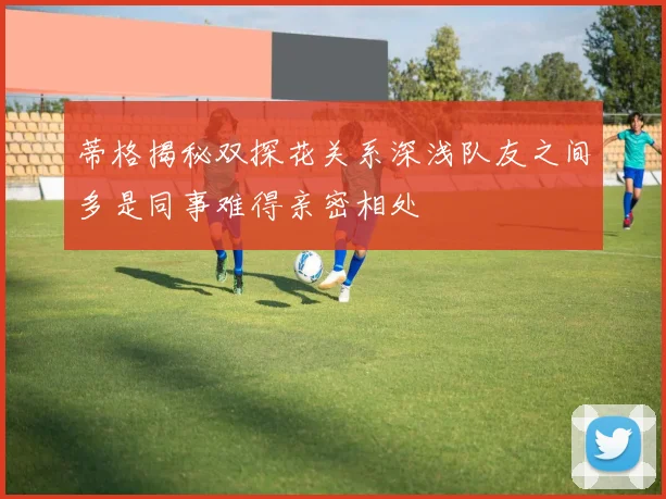 蒂格揭秘双探花关系深浅队友之间多是同事难得亲密相处