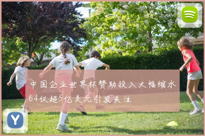 中国企业世界杯赞助投入大幅缩水64仅超5亿美元引发关注